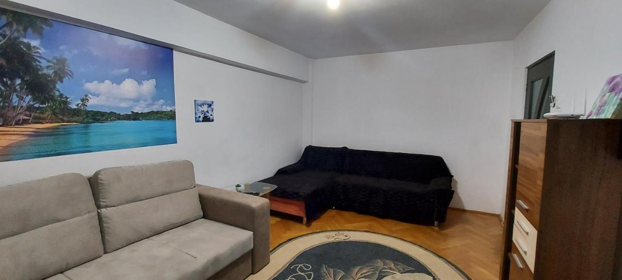 Bucovina Confort Apartament Apartment Suceava Exterior photo